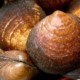 AMANDES