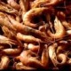 CREVETTE GRISE par 100g